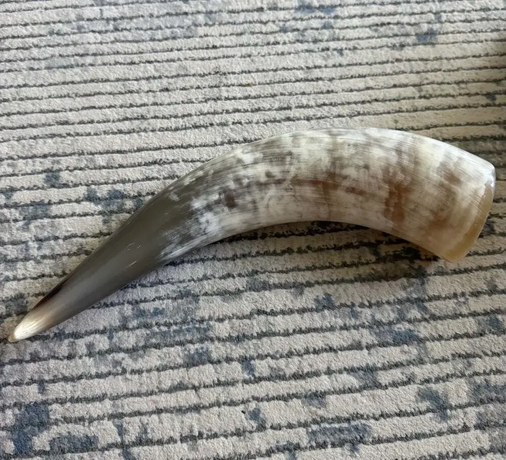 Natural Polished Steer Drinking Horn 13-Inch Decorative Horn